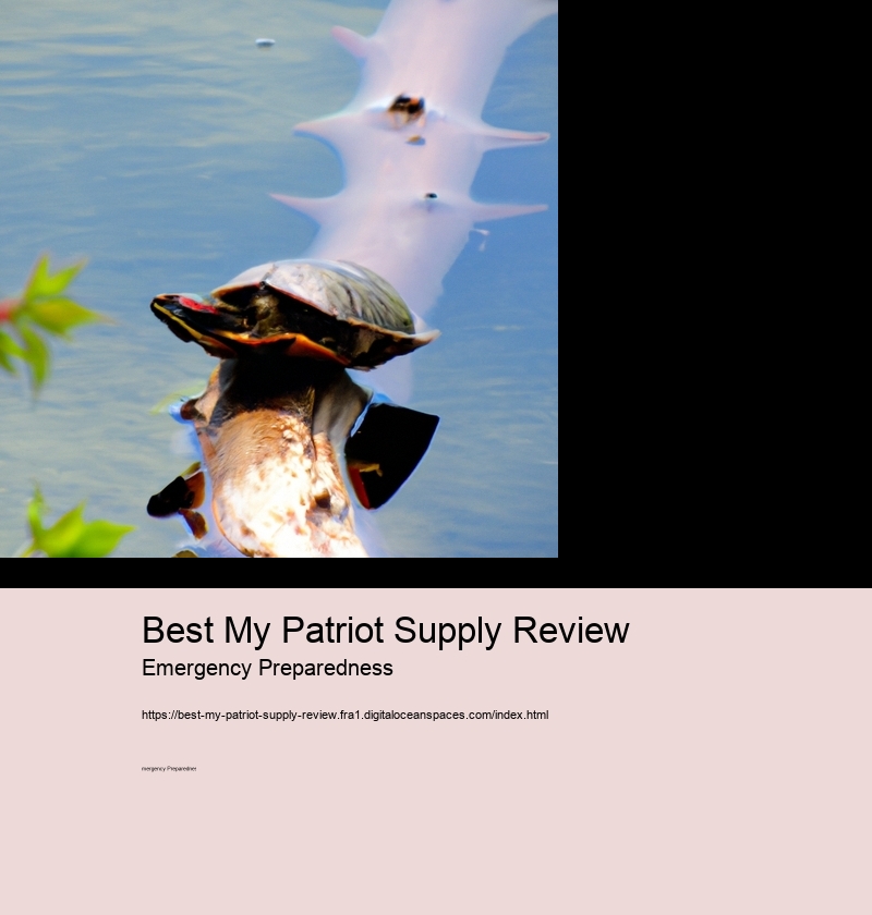 Best My Patriot Supply Review