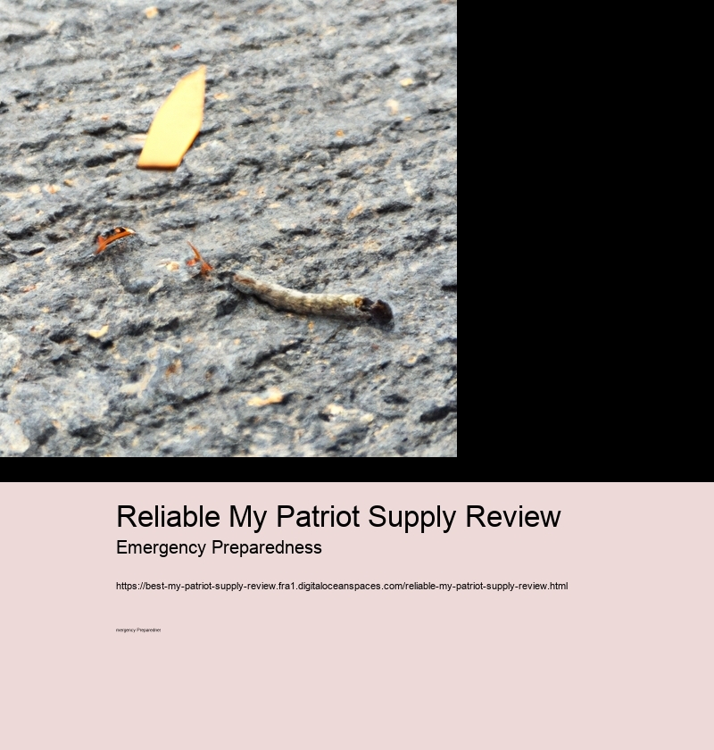 Reliable My Patriot Supply Review