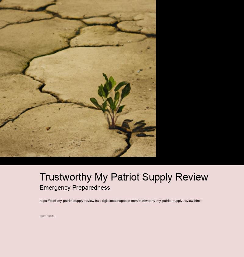 Trustworthy My Patriot Supply Review